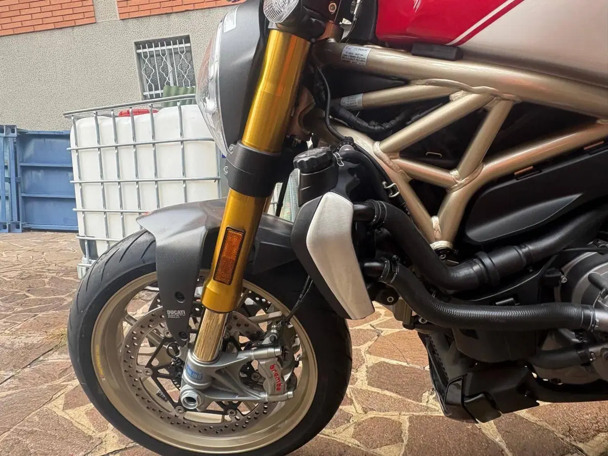 Ducati Monster 1200 25° Anniversario (2018 - 19) (13)