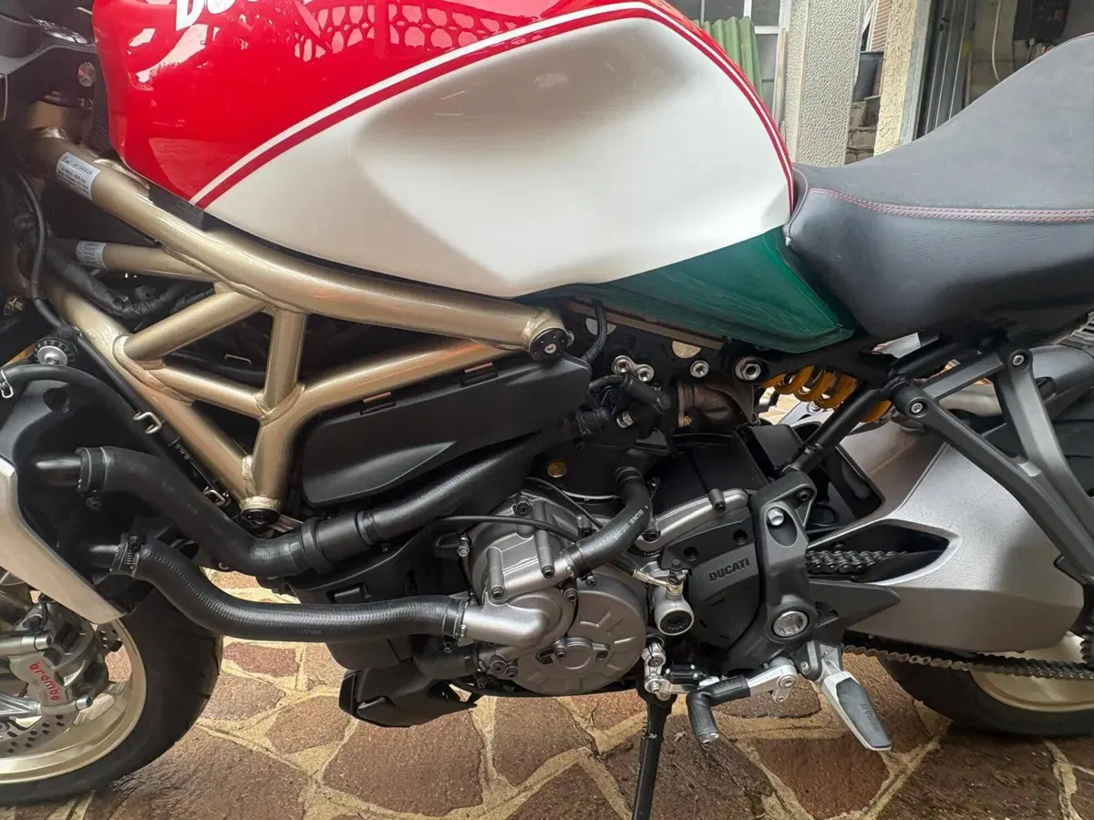Ducati Monster 1200 25° Anniversario (2018 - 19) (14)