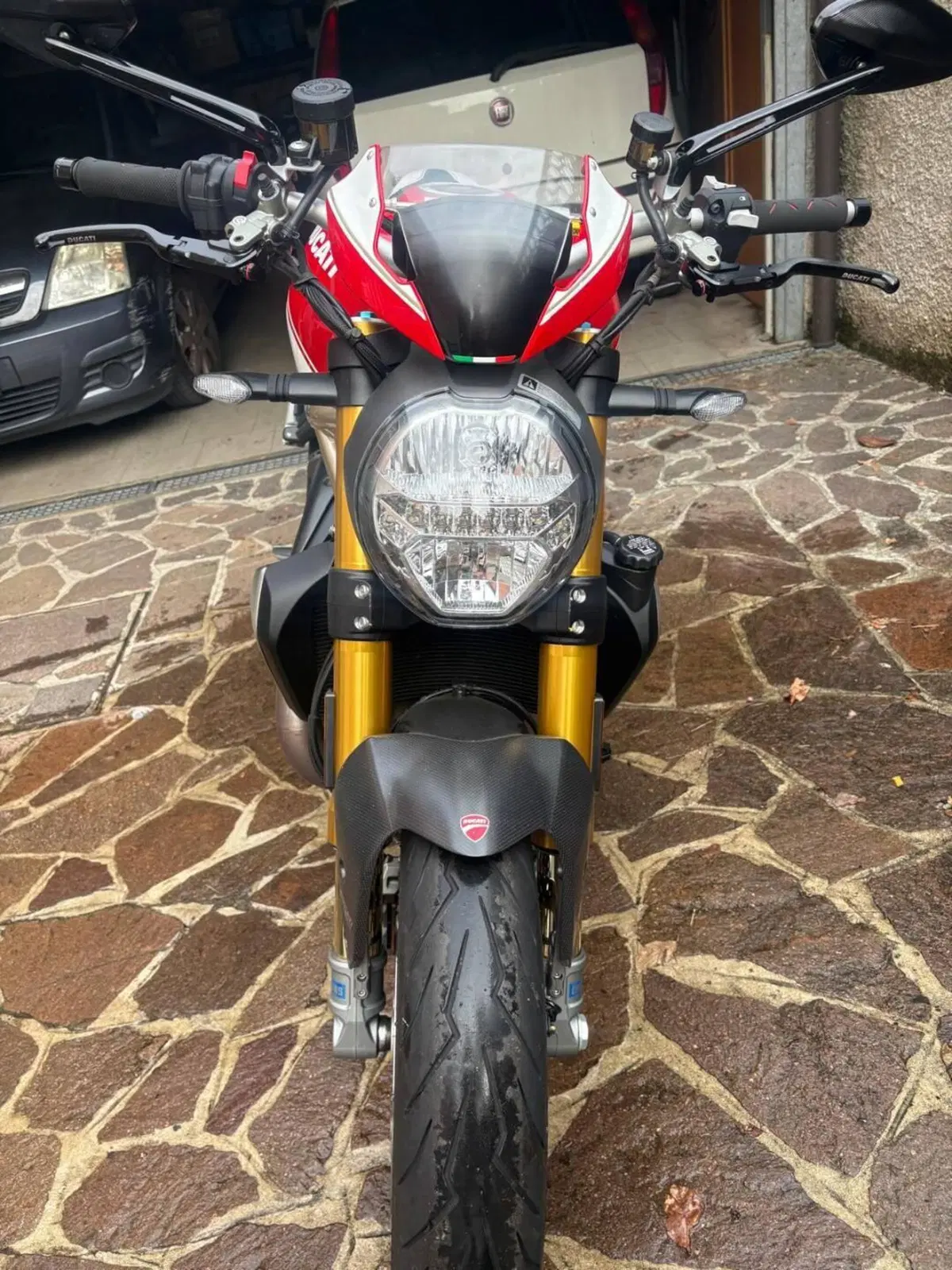 Ducati Monster 1200 25° Anniversario (2018 - 19) (19)
