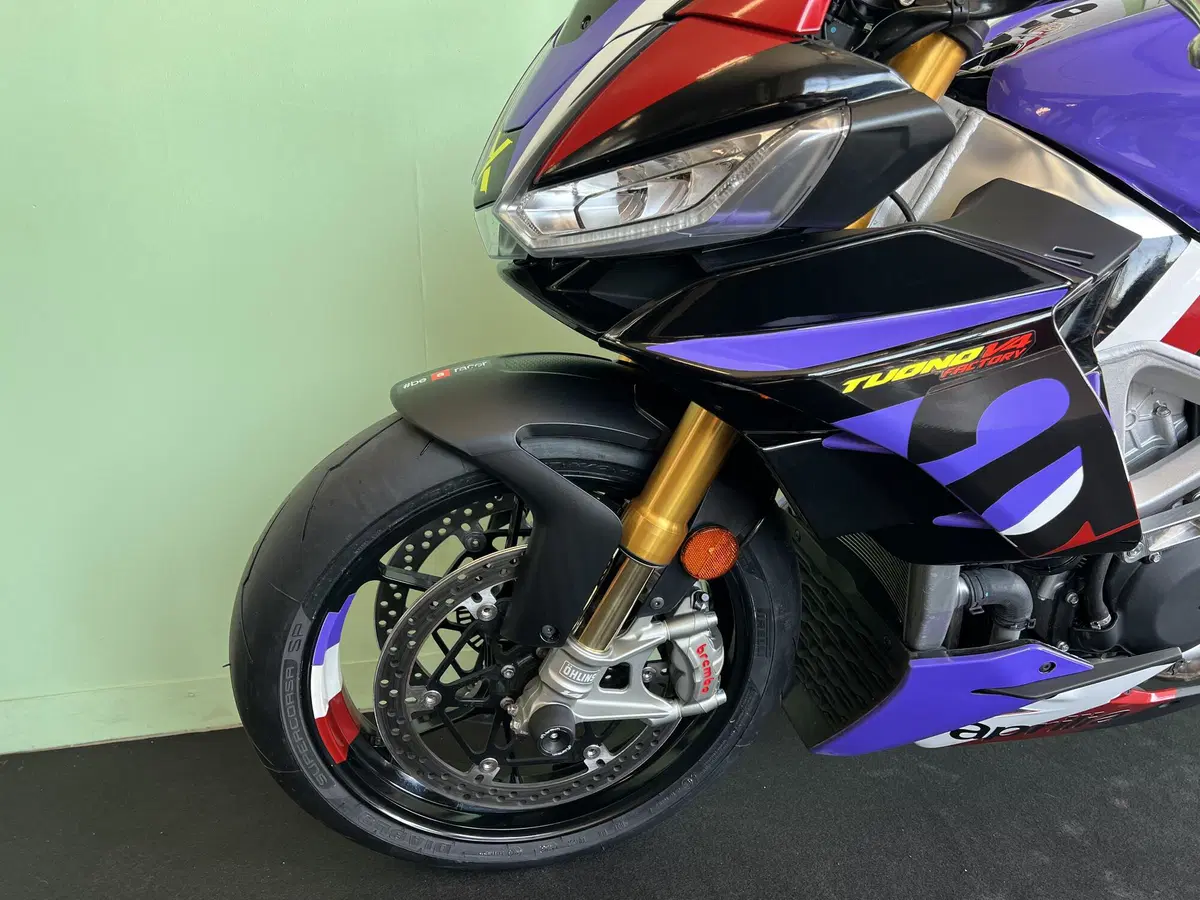 Aprilia Tuono V4 Factory (2021 - 24) (16)