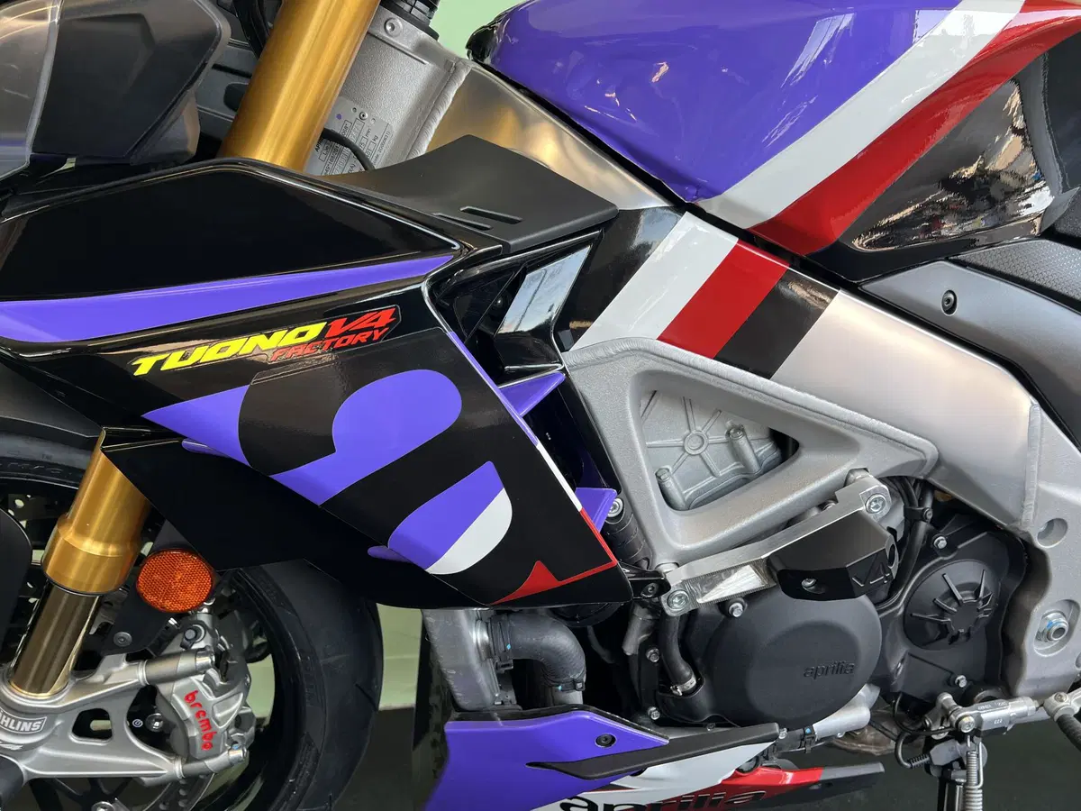 Aprilia Tuono V4 Factory (2021 - 24) (18)