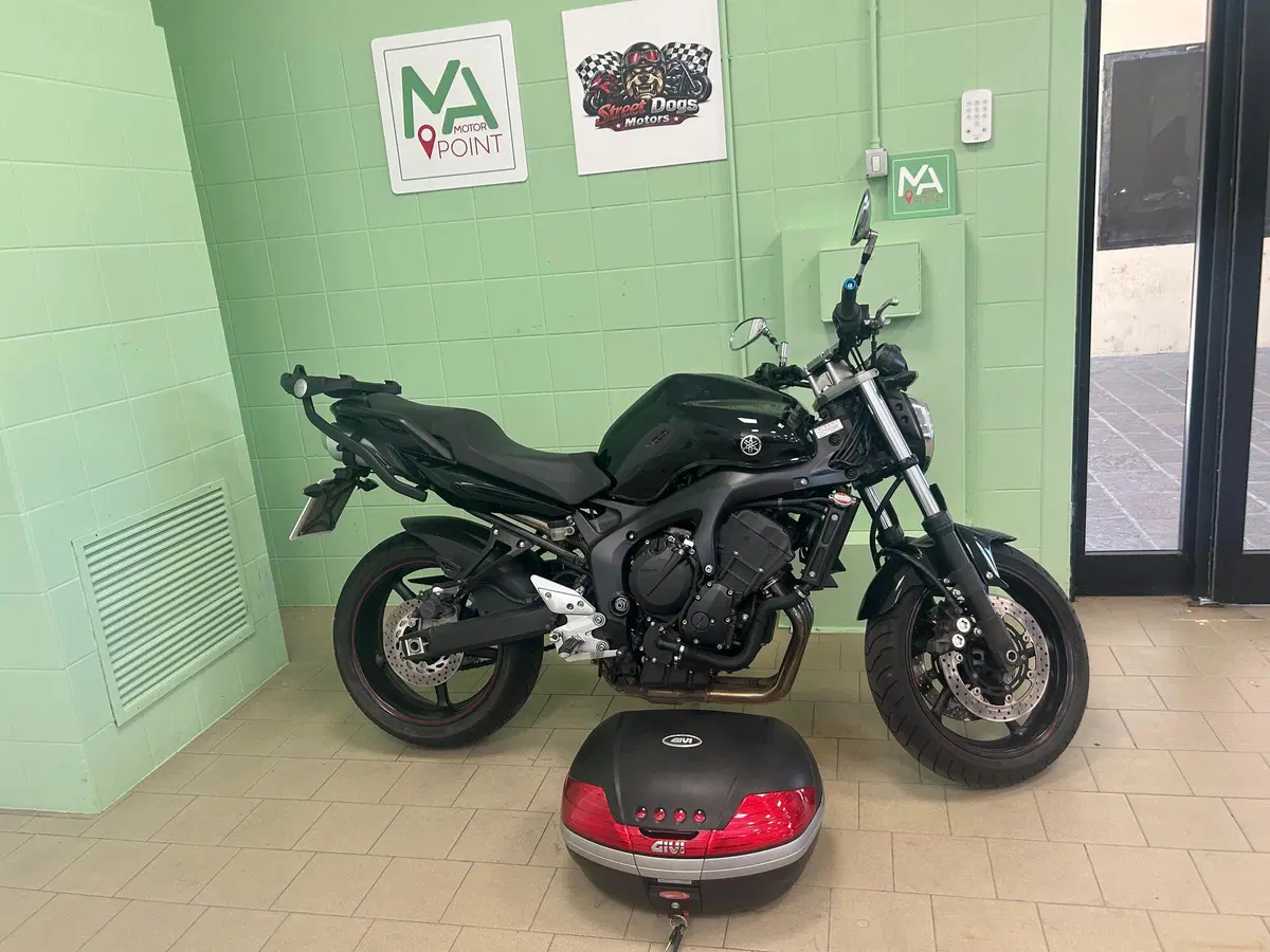 Yamaha FZ6 S2 (2007 - 11) (7)