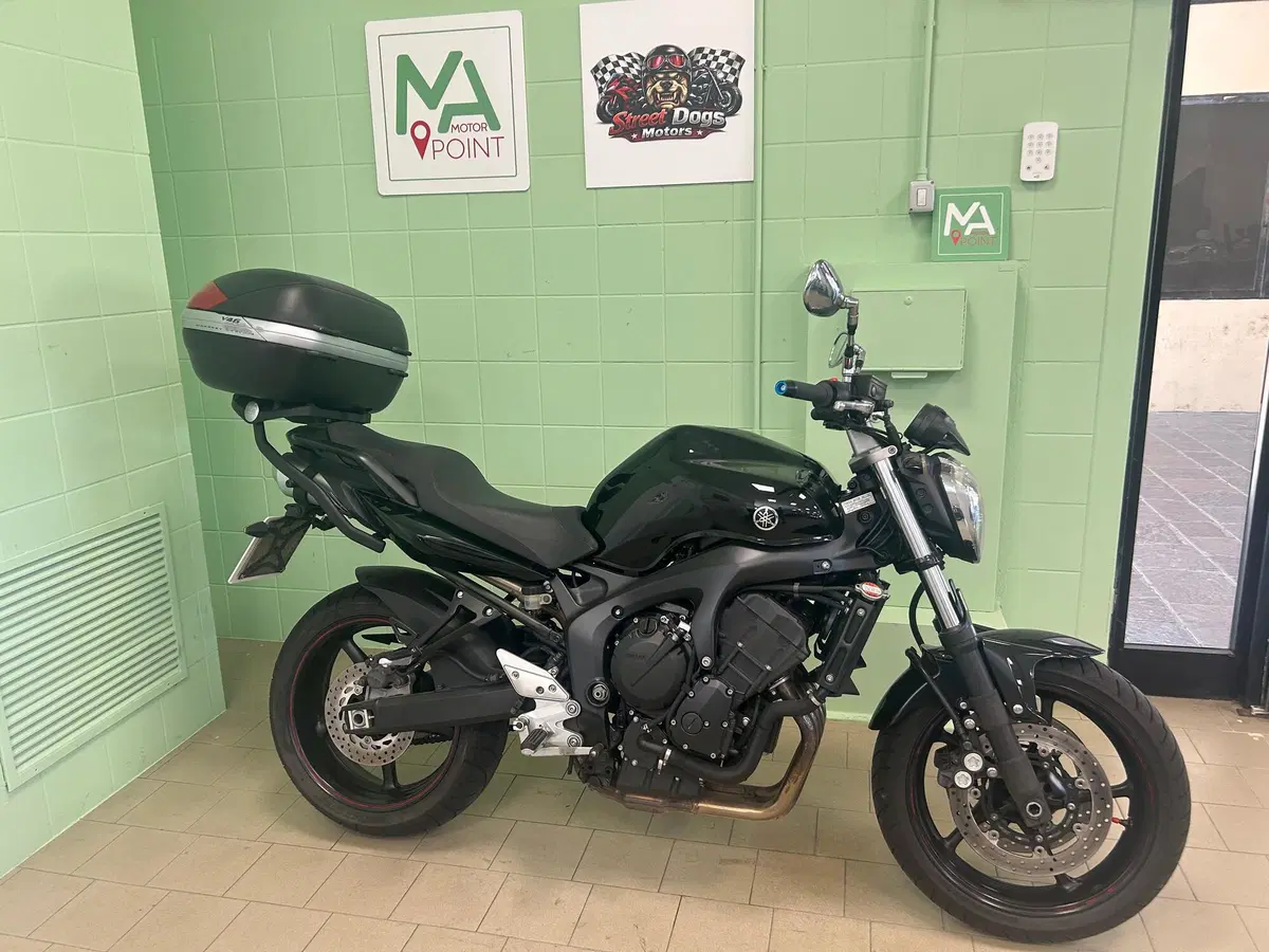 Yamaha FZ6 S2 (2007 - 11) (8)