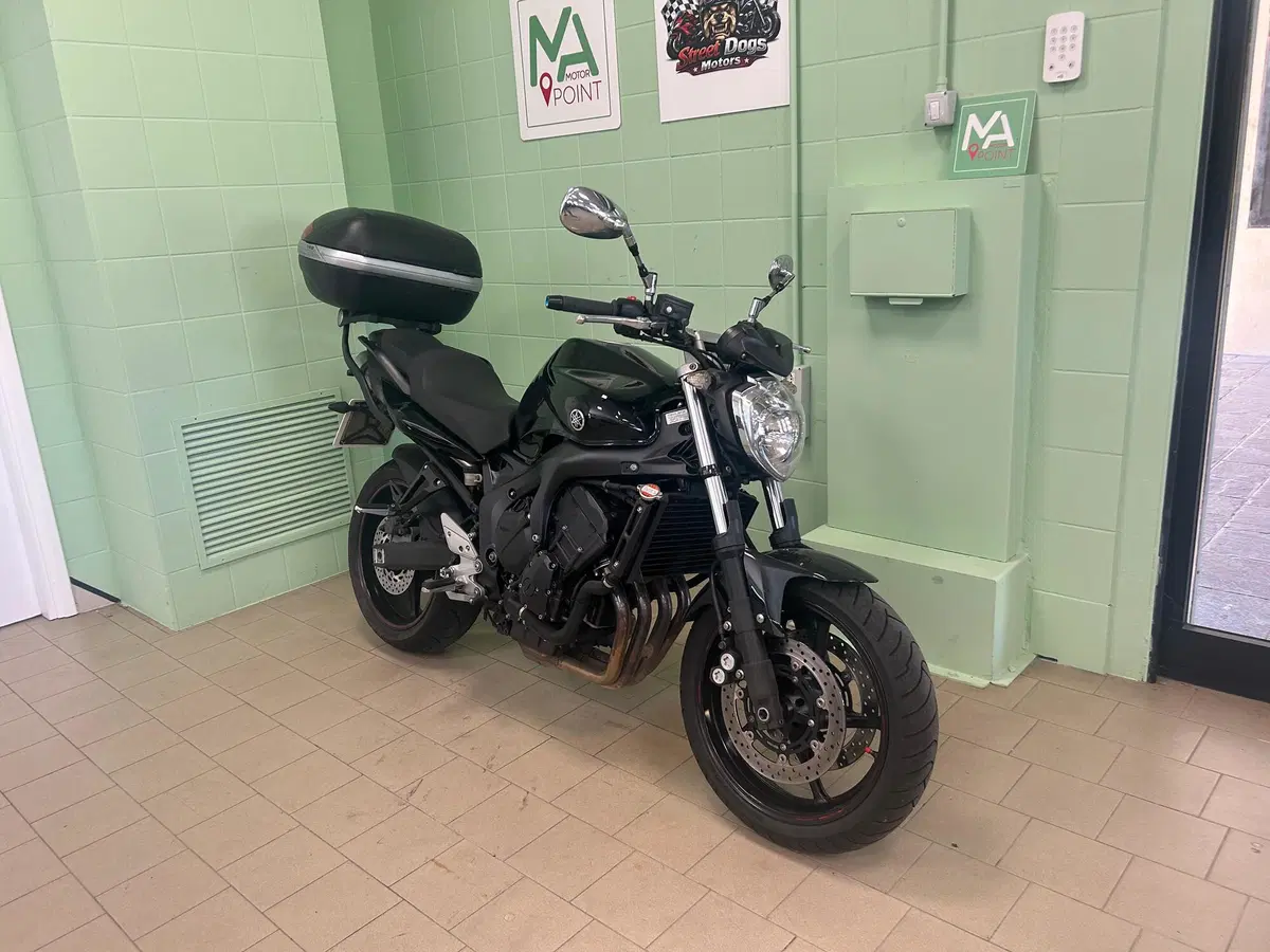 Yamaha FZ6 S2 (2007 - 11) (9)