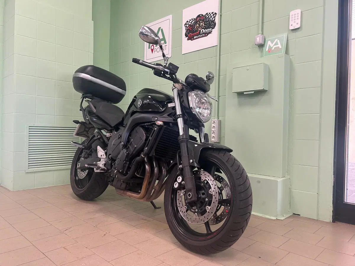 Yamaha FZ6 S2 (2007 - 11) (10)