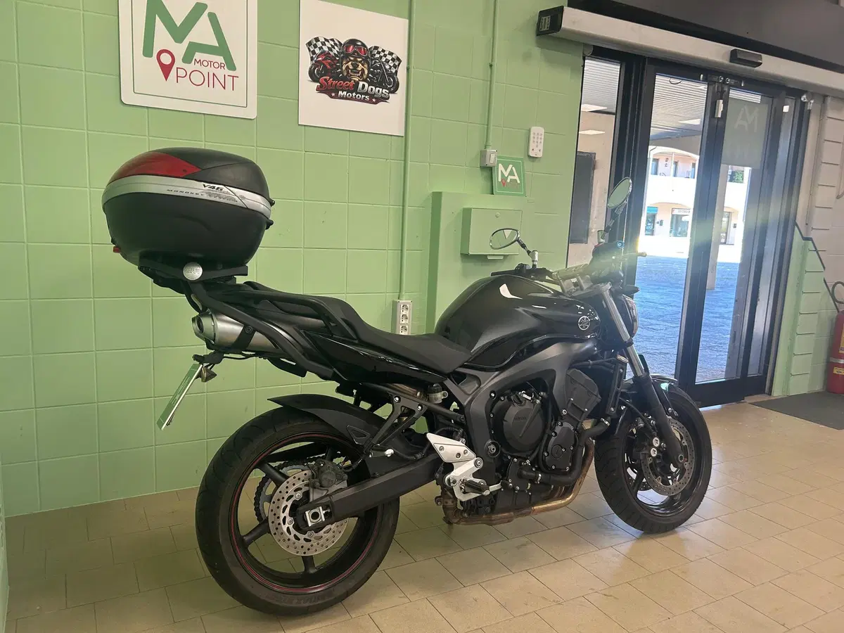 Yamaha FZ6 S2 (2007 - 11) (11)
