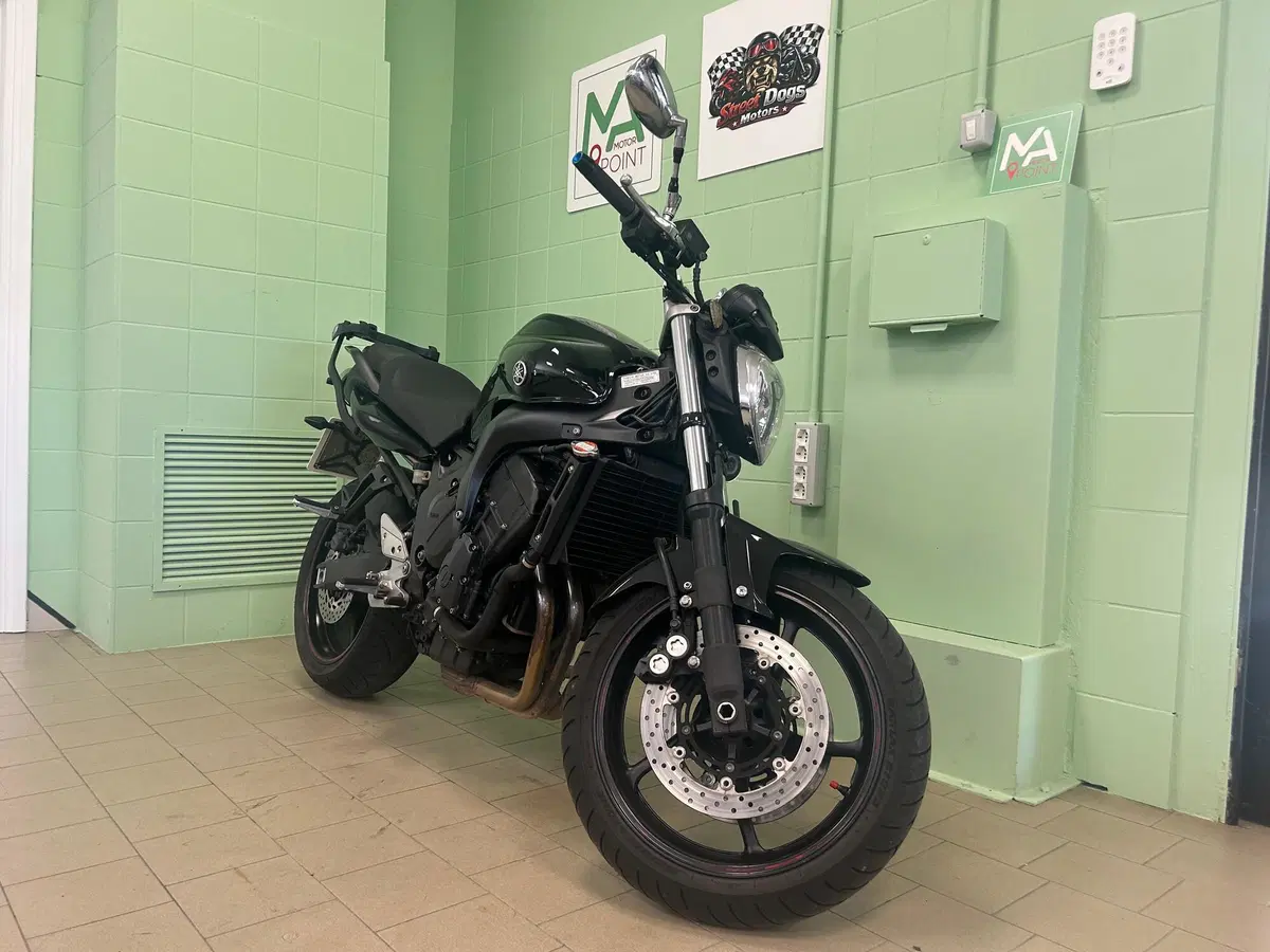 Yamaha FZ6 S2 (2007 - 11) (13)