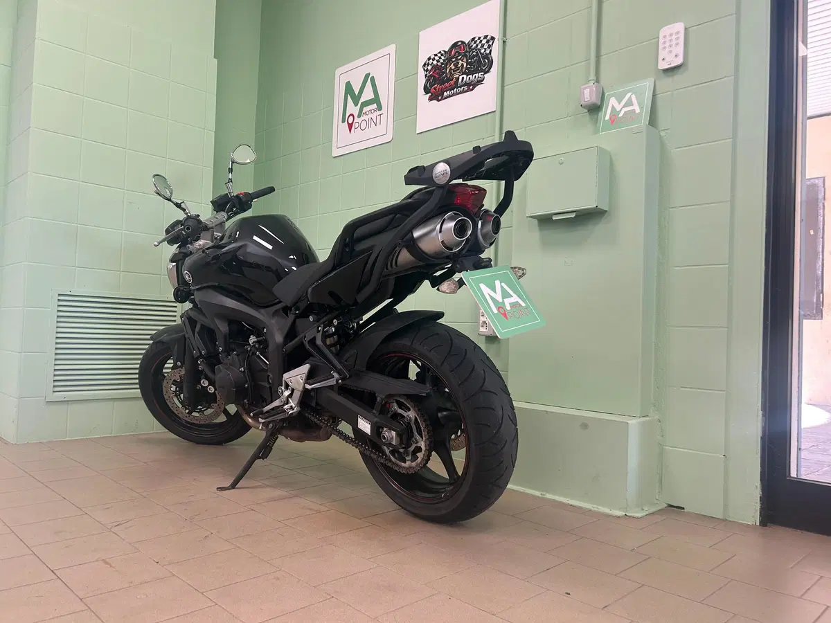 Yamaha FZ6 S2 (2007 - 11) (19)
