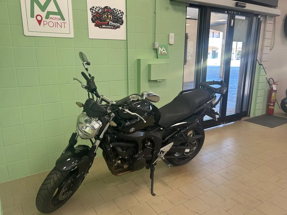 Yamaha FZ6 S2 (2007 - 11) (20)