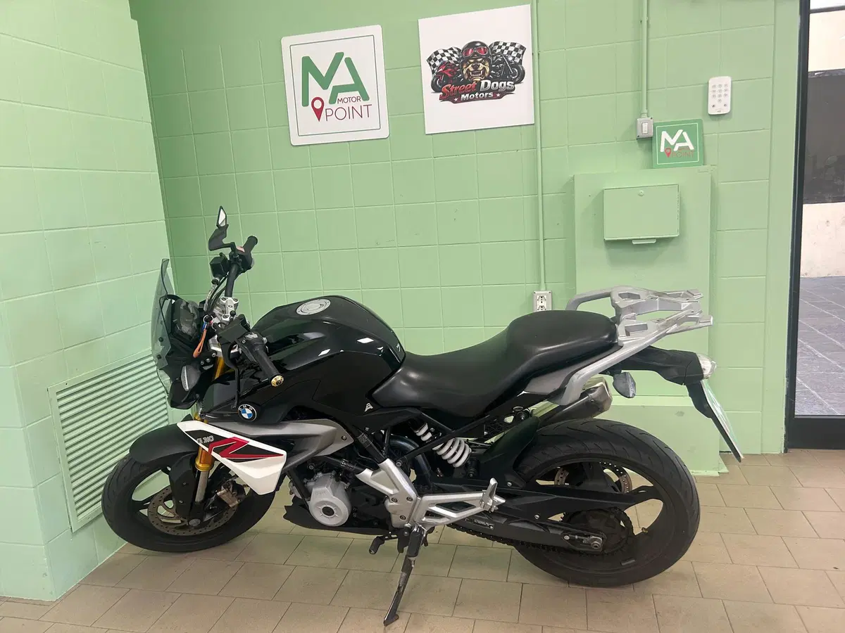 Bmw G 310 R (2016 - 20) (2)