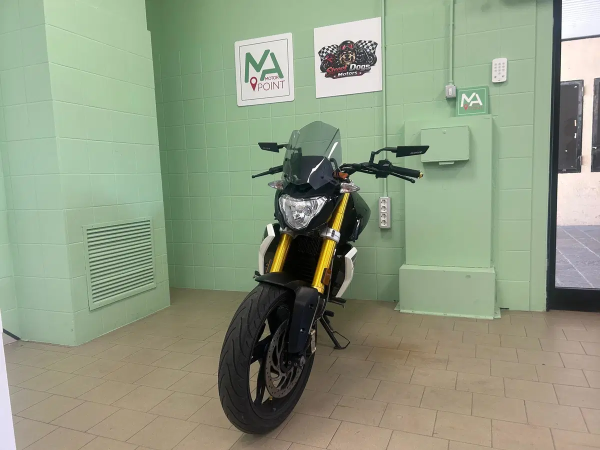 Bmw G 310 R (2016 - 20) (3)