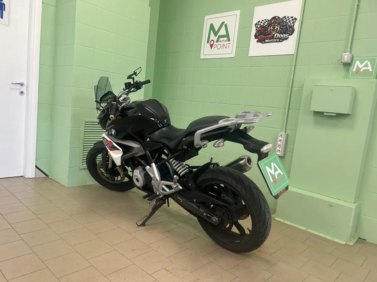 Bmw G 310 R (2016 - 20) (6)