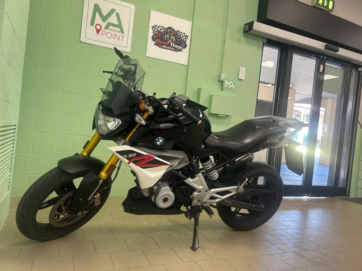 Bmw G 310 R (2016 - 20) (7)