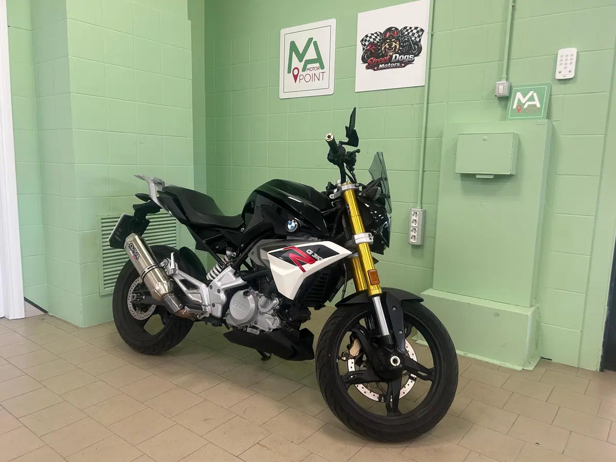 Bmw G 310 R (2016 - 20) (9)