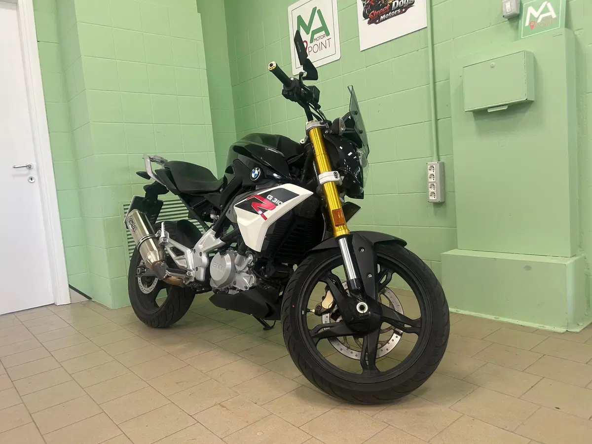 Bmw G 310 R (2016 - 20) (10)