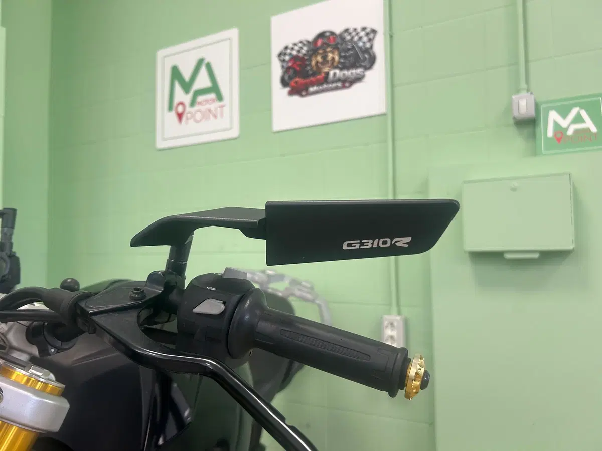 Bmw G 310 R (2016 - 20) (12)