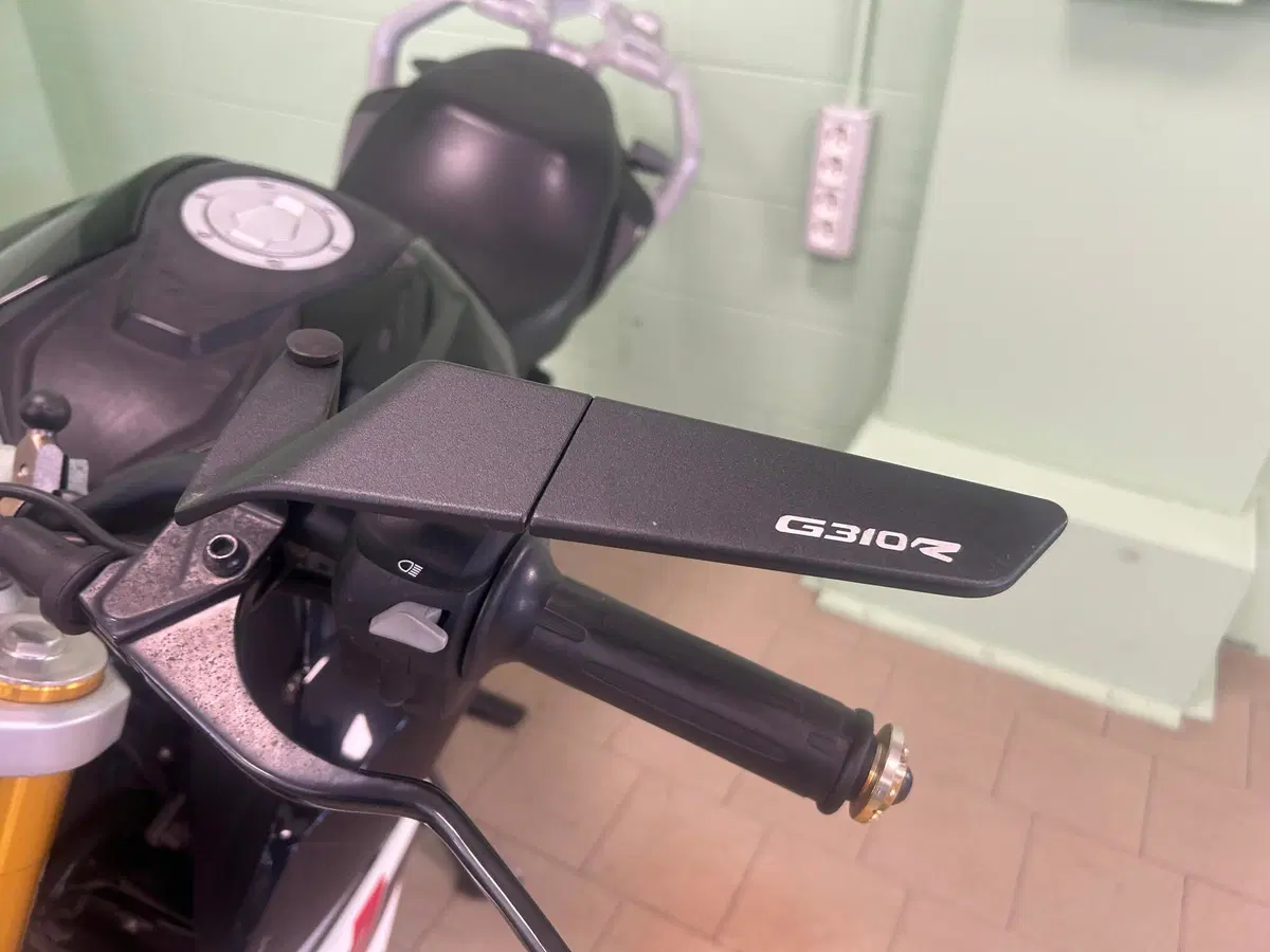 Bmw G 310 R (2016 - 20) (13)