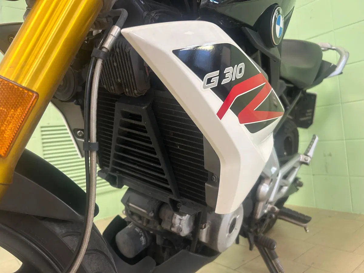 Bmw G 310 R (2016 - 20) (15)