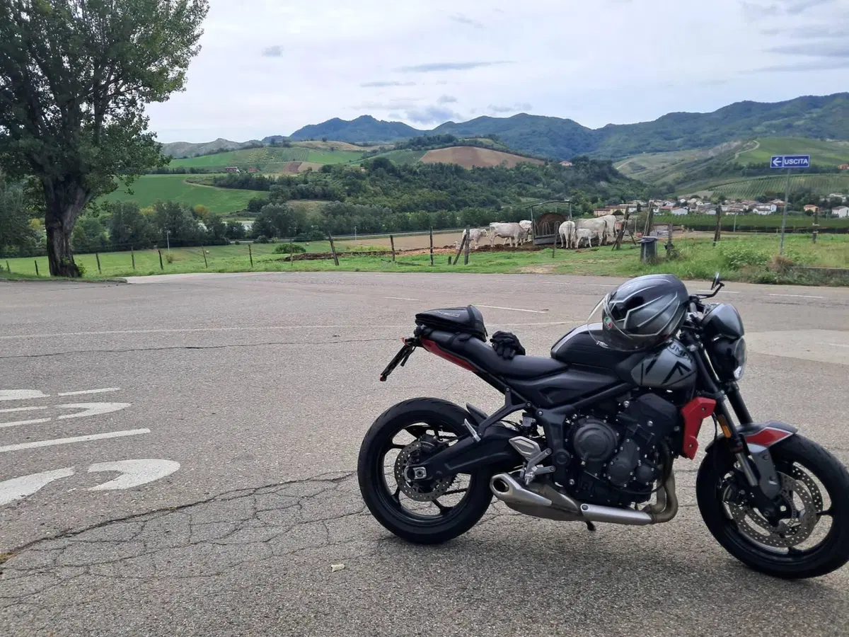 Triumph Trident 660 (2021 - 24) (2)