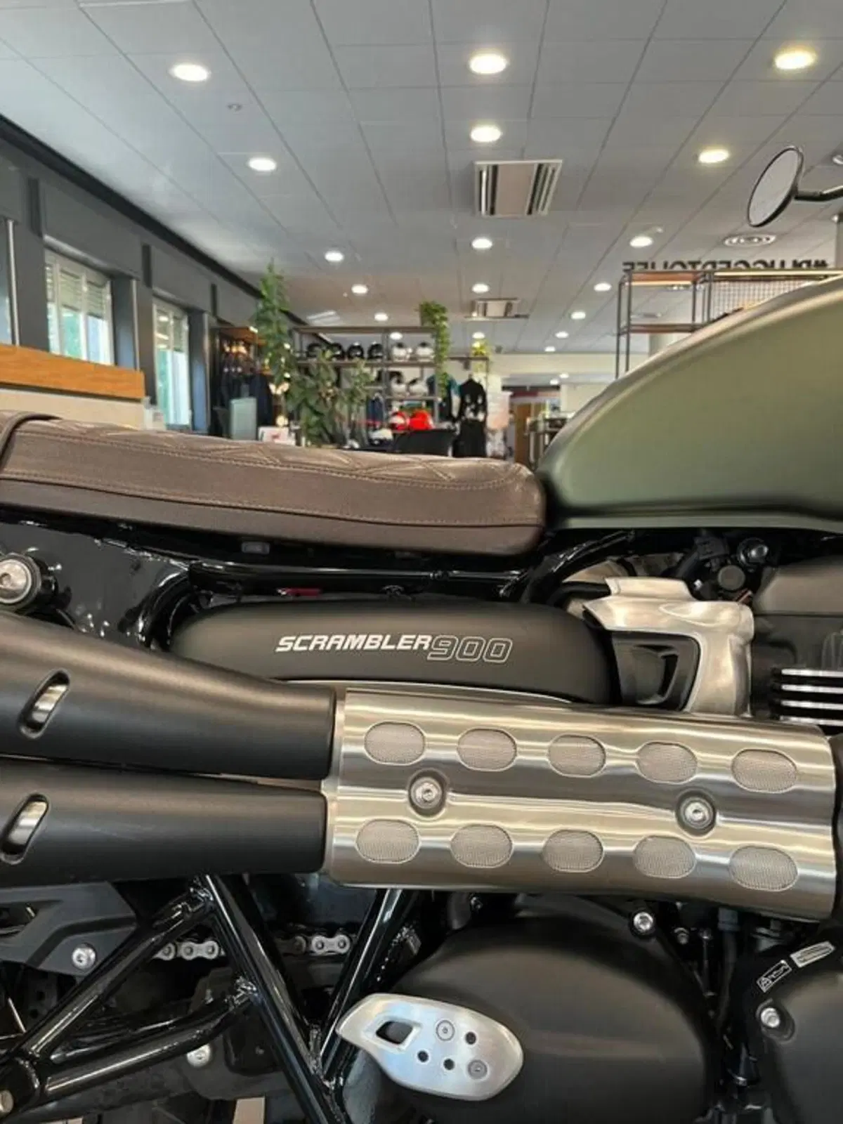 Triumph Scrambler 900 (2023 - 25) (6)