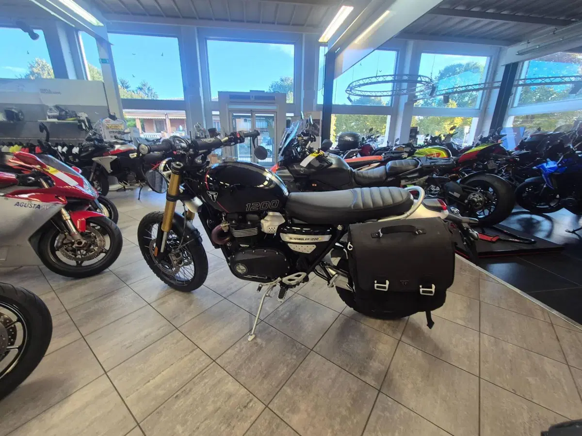 Triumph Scrambler 1200 XE (2026) (3)