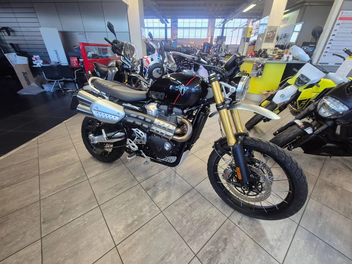 Triumph Scrambler 1200 XE (2026) (4)