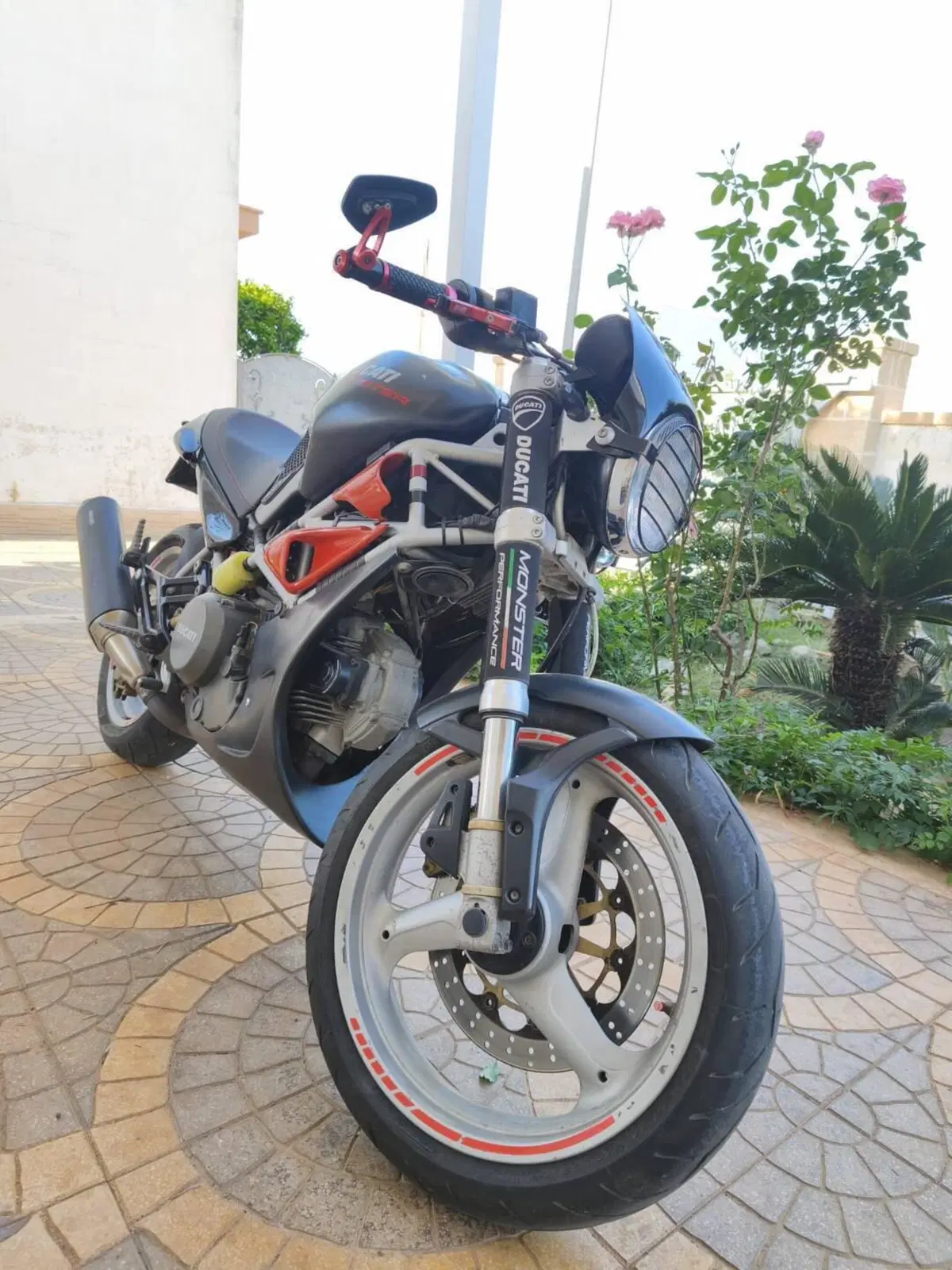 Ducati Monster 600 Dark (1998 - 01) (2)