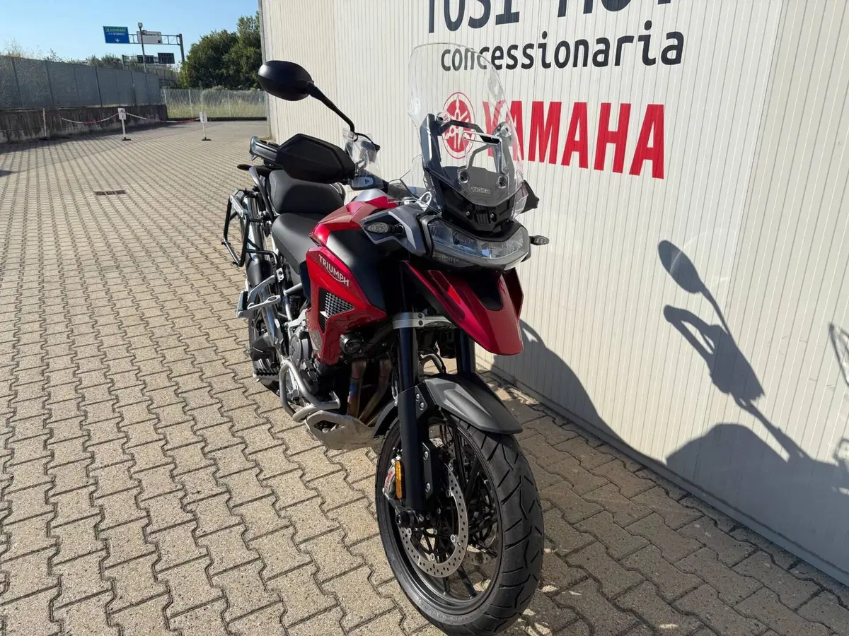 Triumph Tiger 1200 GT Pro (2024 - 26) (3)