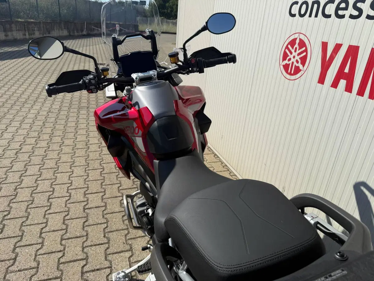 Triumph Tiger 1200 GT Pro (2024 - 26) (6)