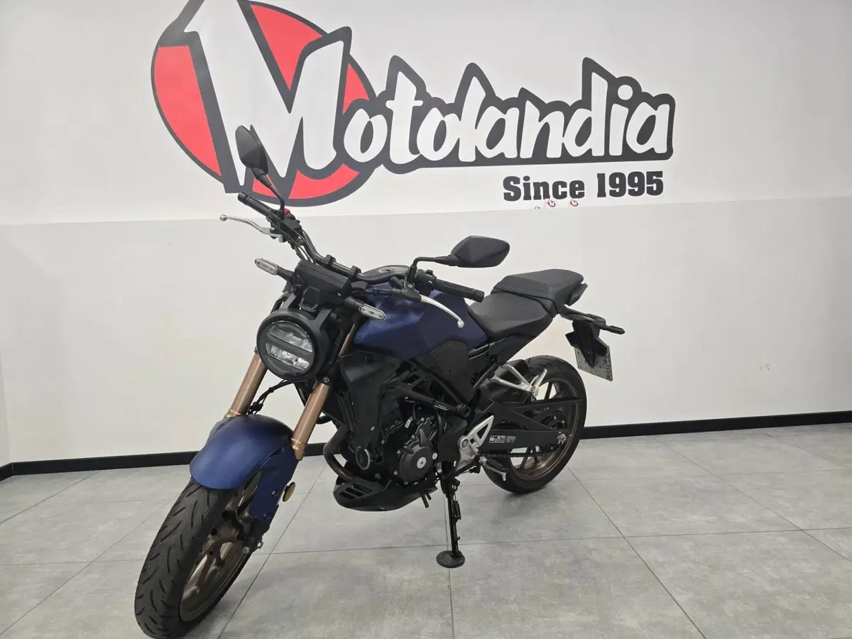 Honda CB 300 R (2022 - 26) (2)