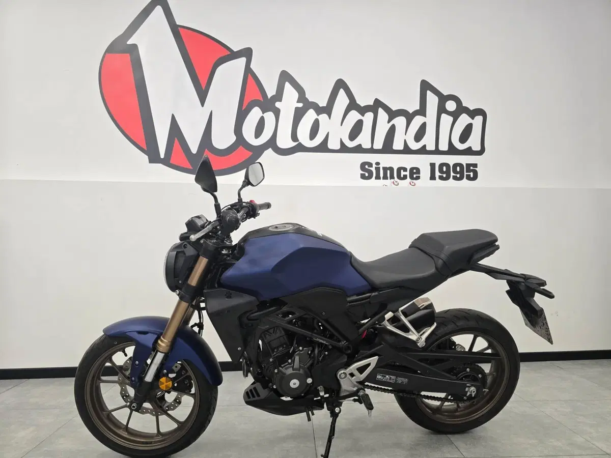 Honda CB 300 R (2022 - 26) (3)