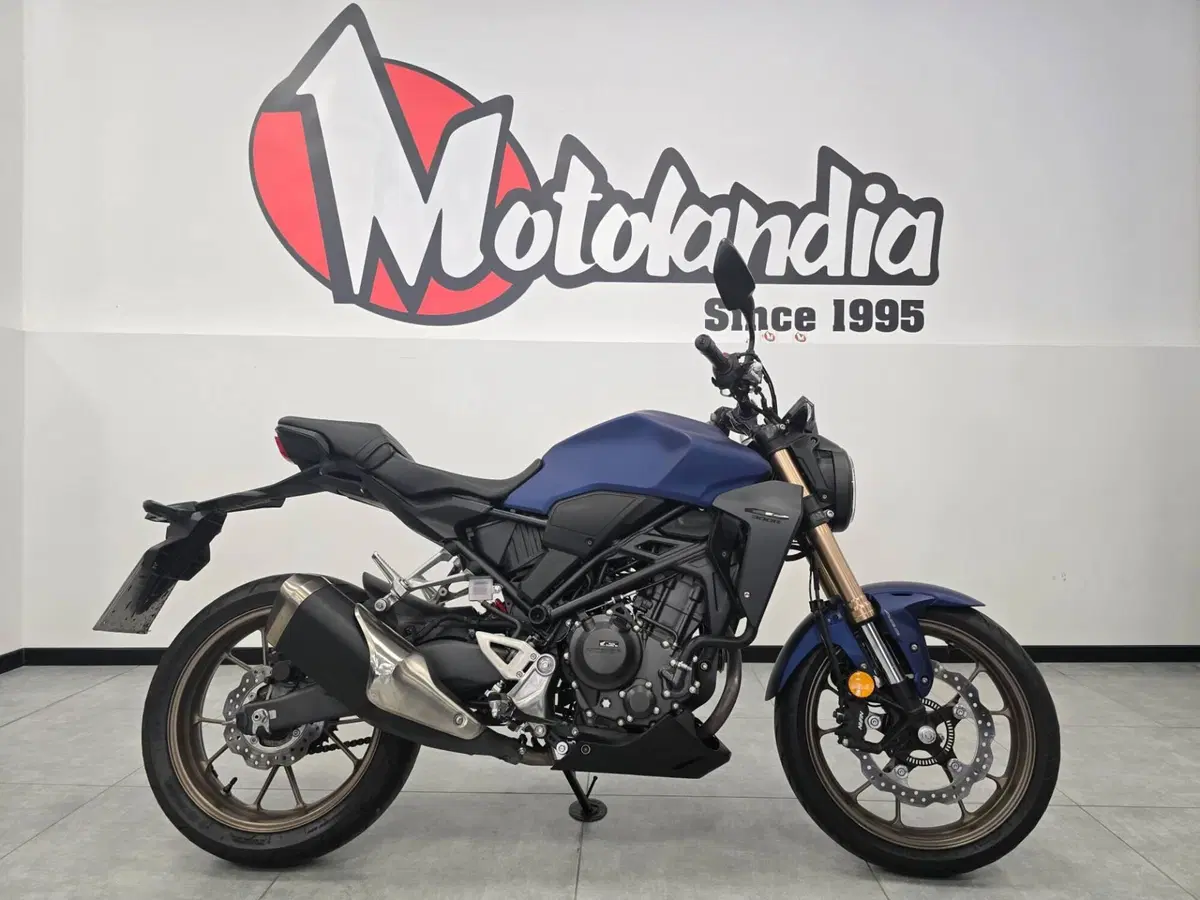 Honda CB 300 R (2022 - 26) (4)