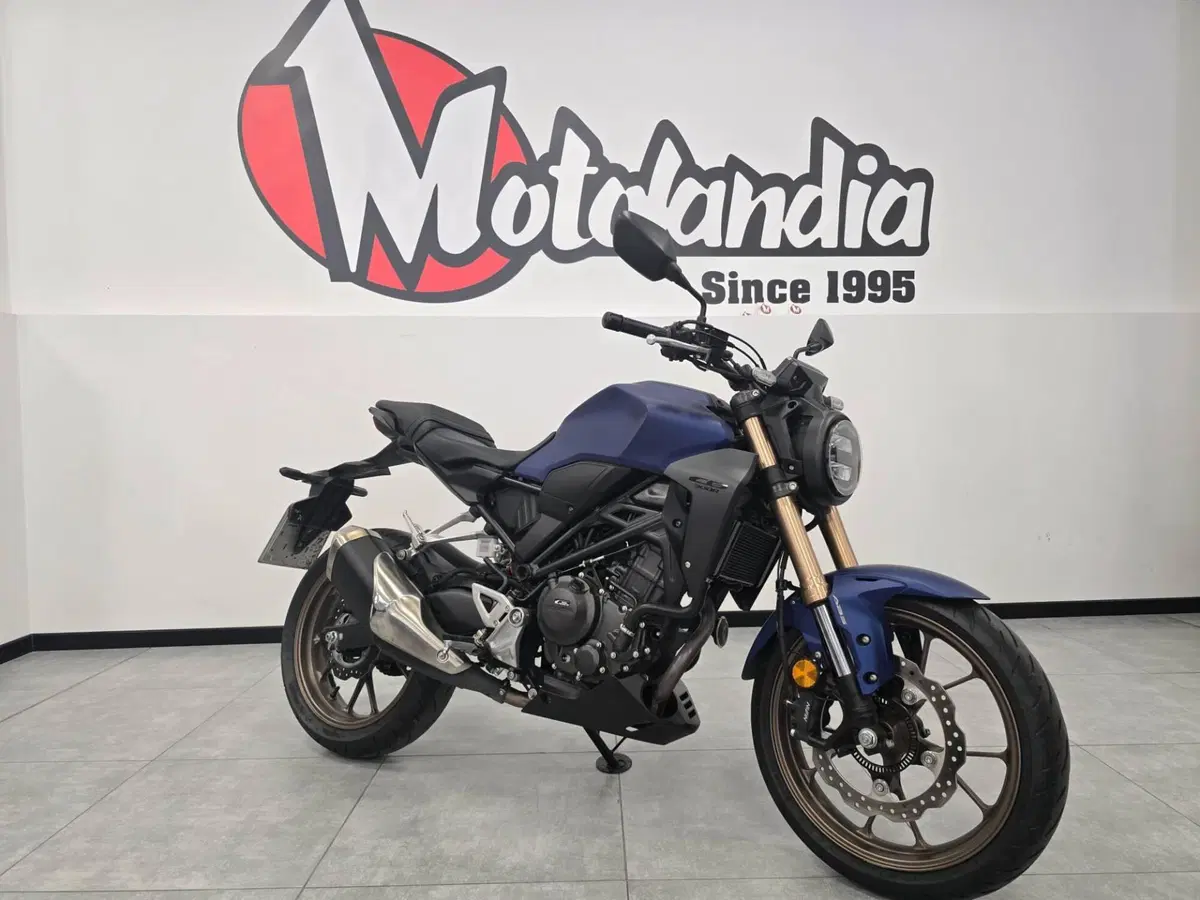 Honda CB 300 R (2022 - 26)