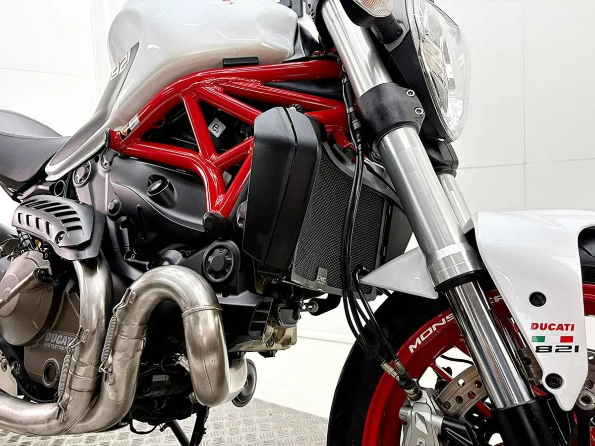 Ducati Monster 821 ABS (2014 - 17) (10)