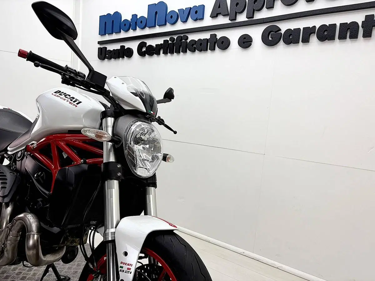 Ducati Monster 821 ABS (2014 - 17) (11)
