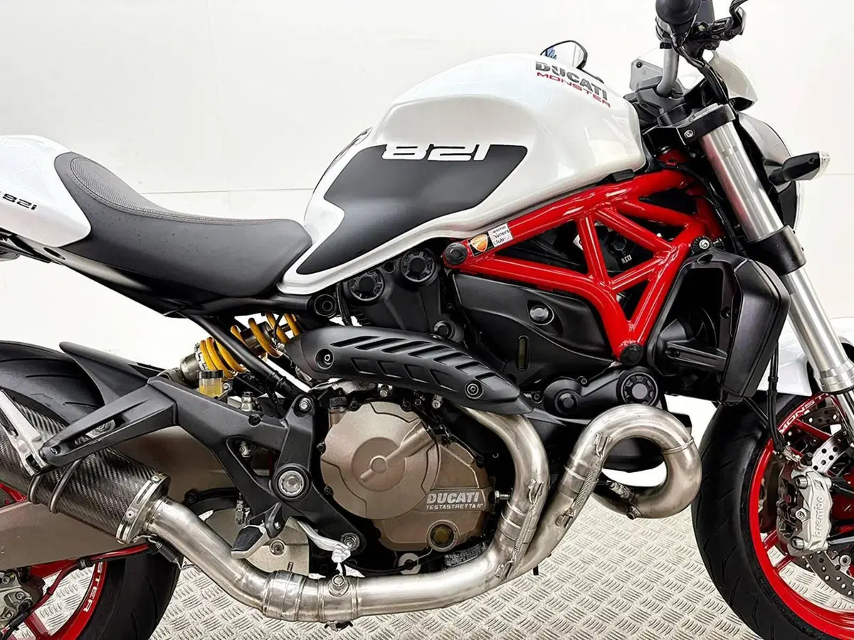 Ducati Monster 821 ABS (2014 - 17) (8)