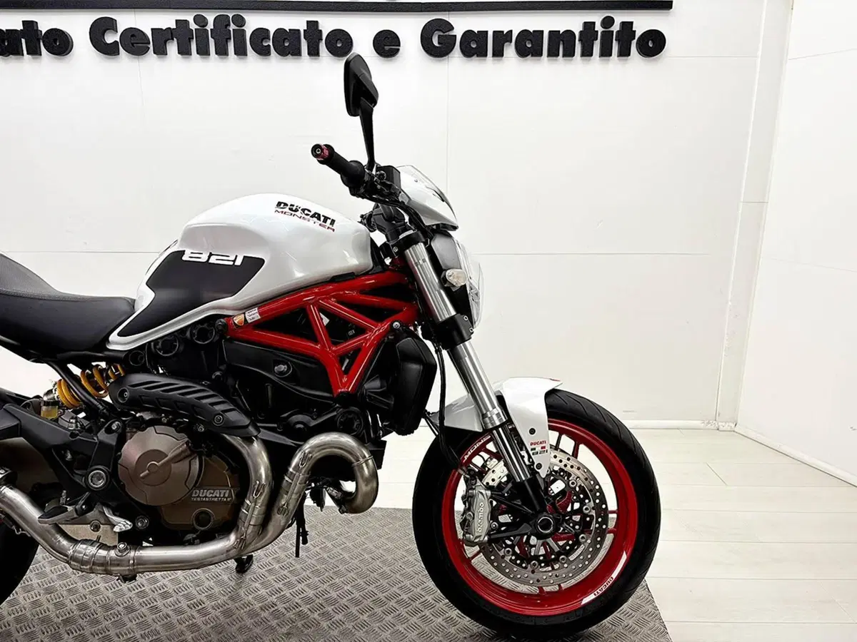 Ducati Monster 821 ABS (2014 - 17) (9)