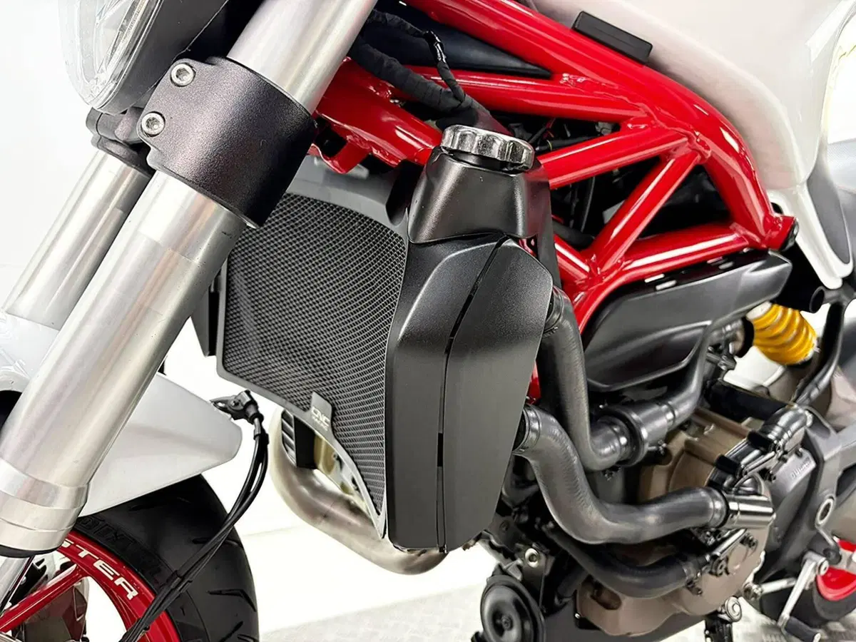 Ducati Monster 821 ABS (2014 - 17) (14)