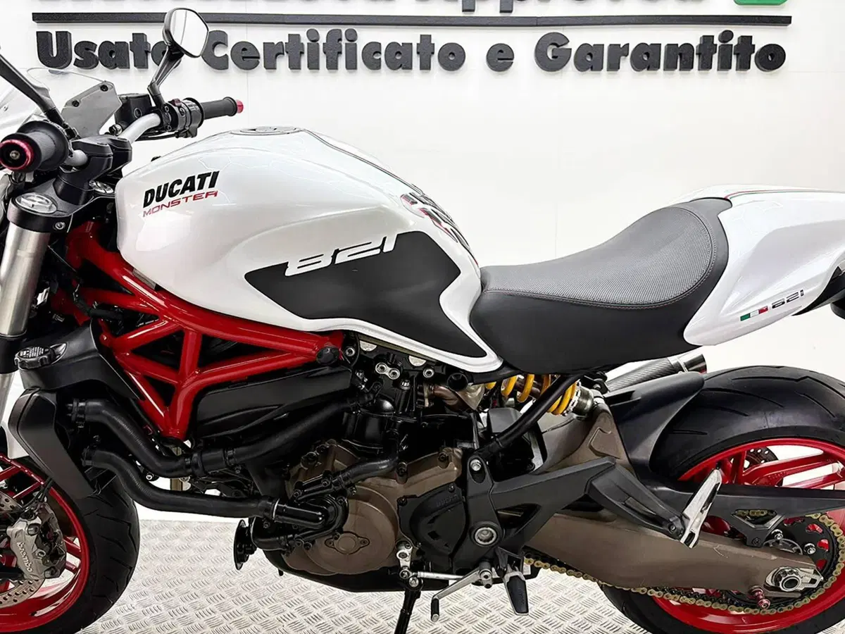Ducati Monster 821 ABS (2014 - 17) (16)