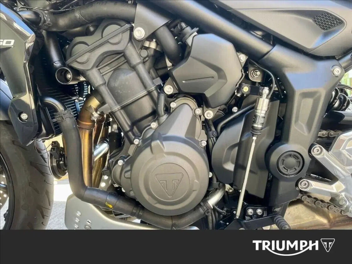 Triumph Trident 660 Triple Tribute Edition (2024) (7)