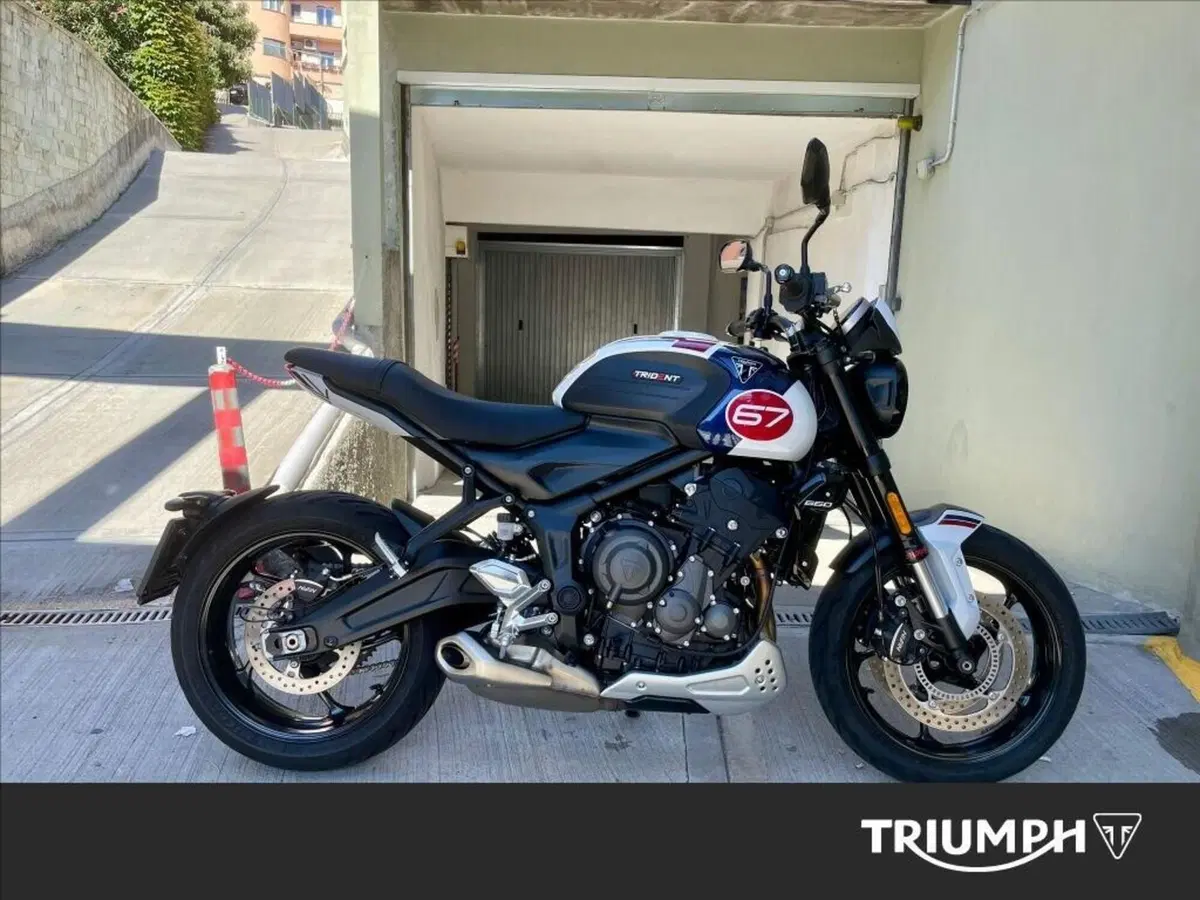Triumph Trident 660 Triple Tribute Edition (2024) (2)