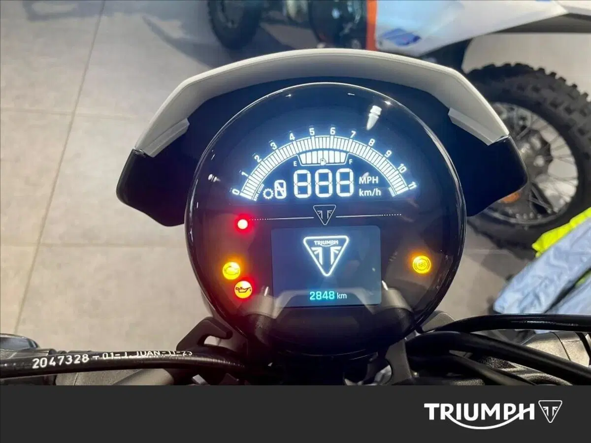 Triumph Trident 660 Triple Tribute Edition (2024) (10)