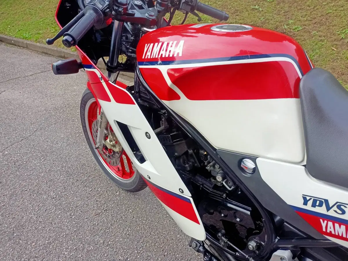 Yamaha RD 350 lc (2)
