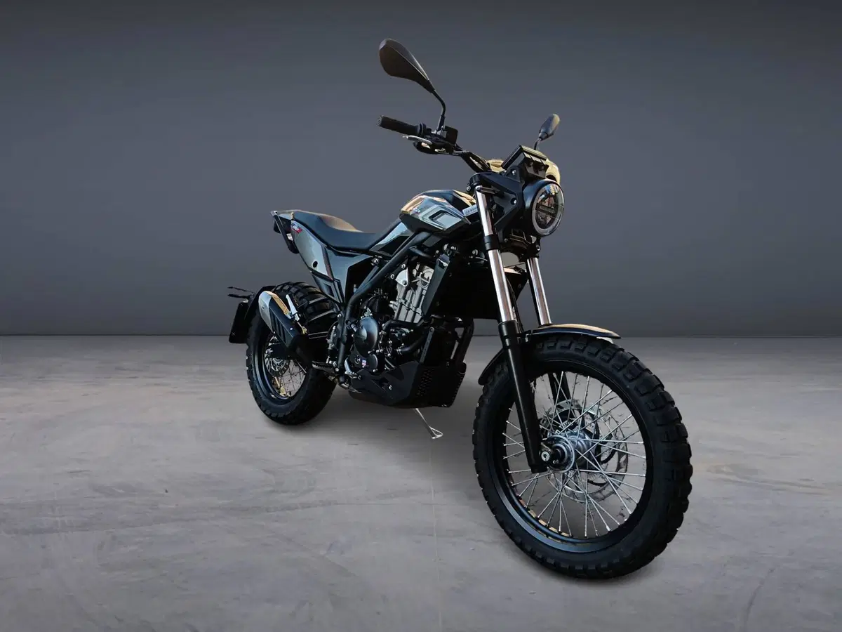 Betamotor Alp X (2024 - 26) (2)