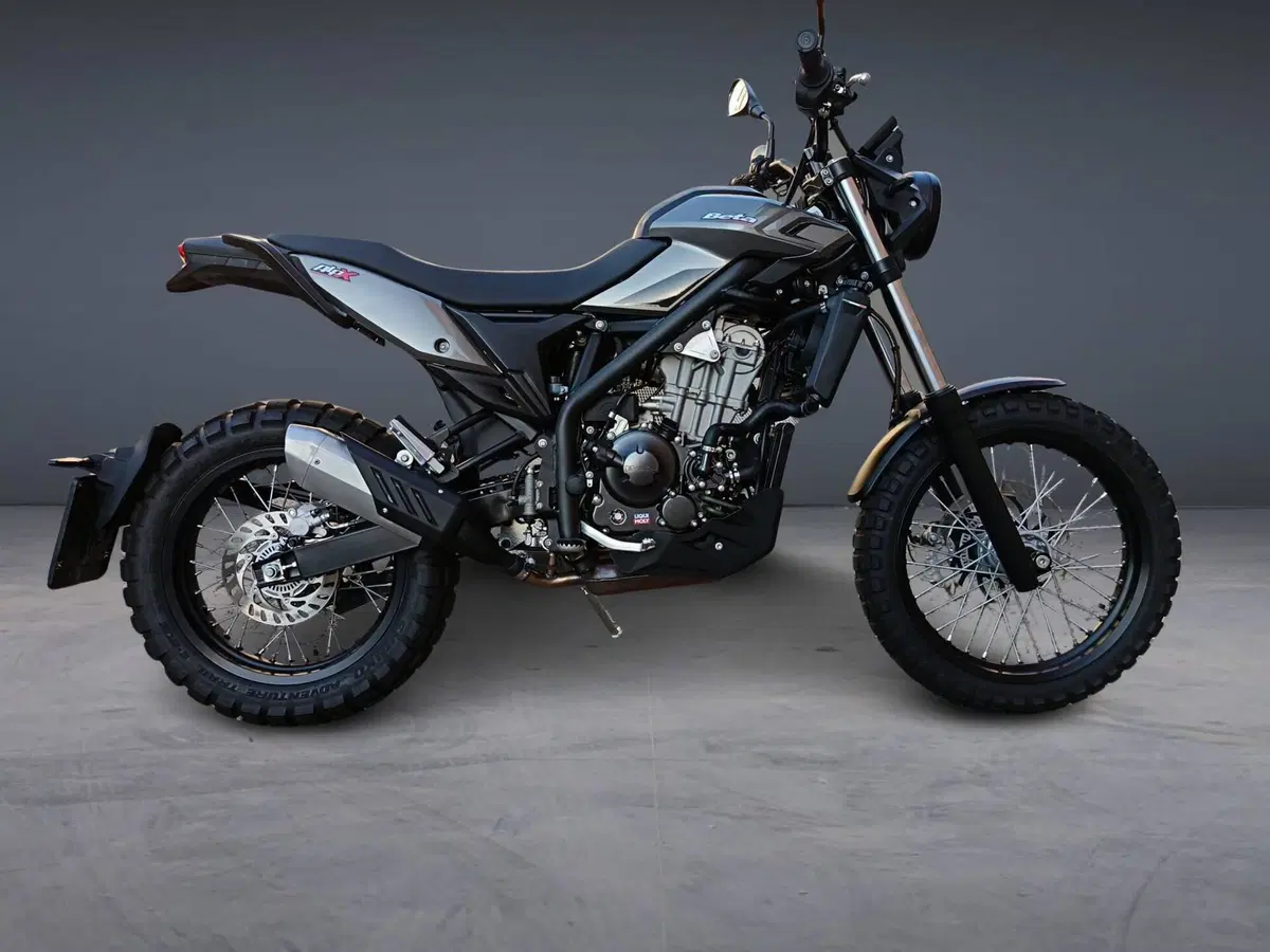 Betamotor Alp X (2024 - 26) (3)