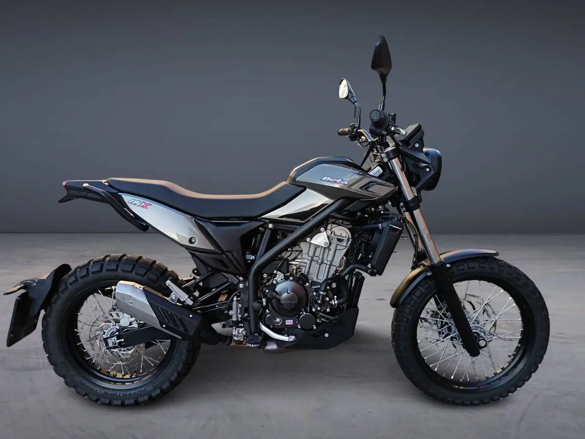 Betamotor Alp X (2024 - 26) (4)