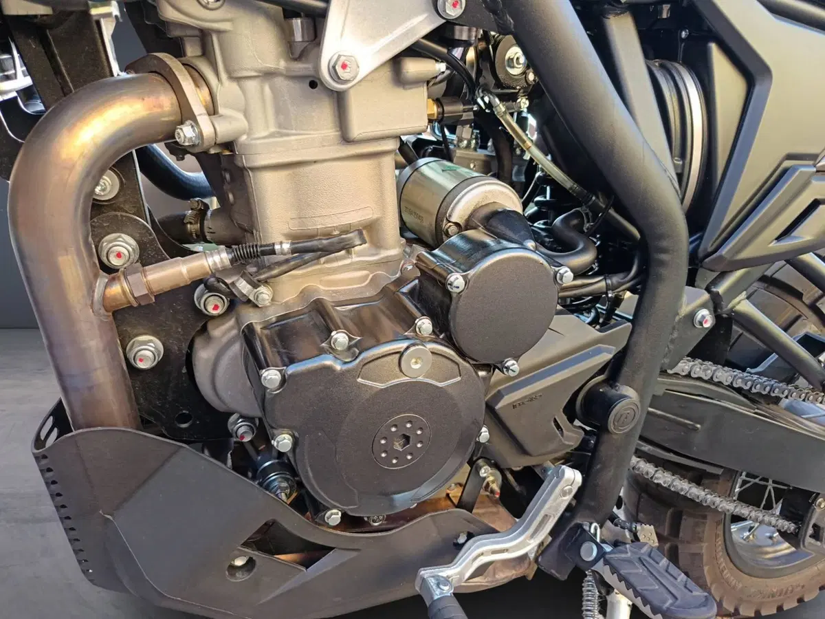 Betamotor Alp X (2024 - 26) (8)