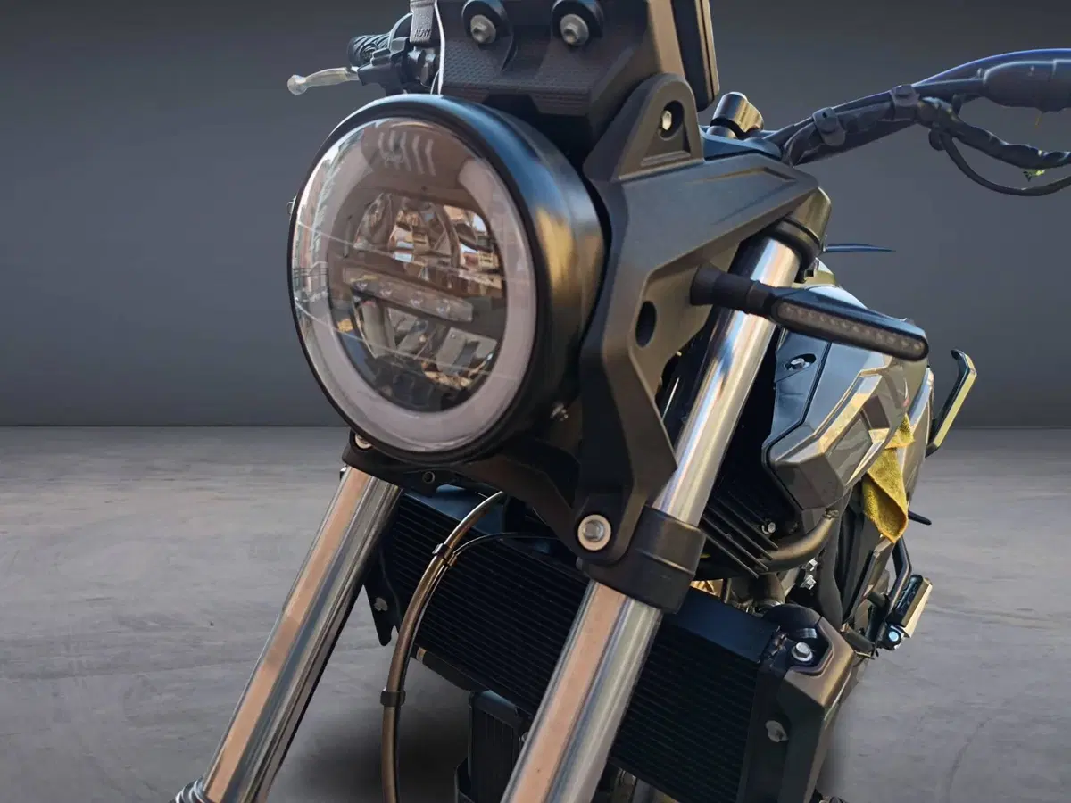 Betamotor Alp X (2024 - 26) (13)