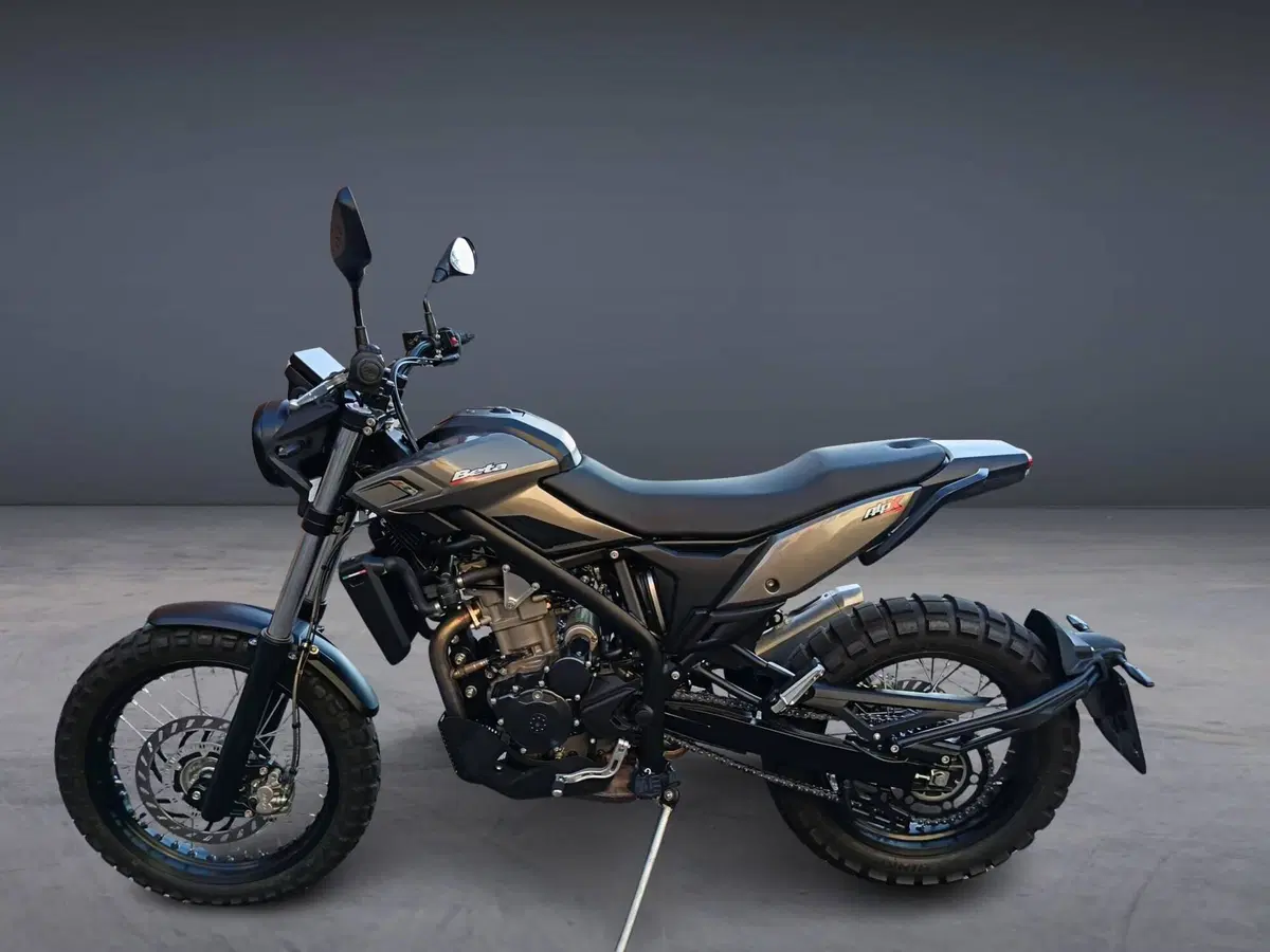 Betamotor Alp X (2024 - 26) (14)