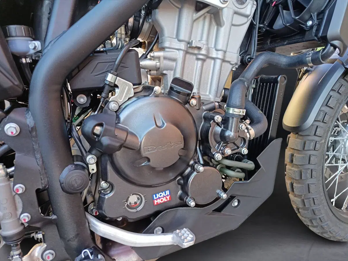 Betamotor Alp X (2024 - 26) (16)